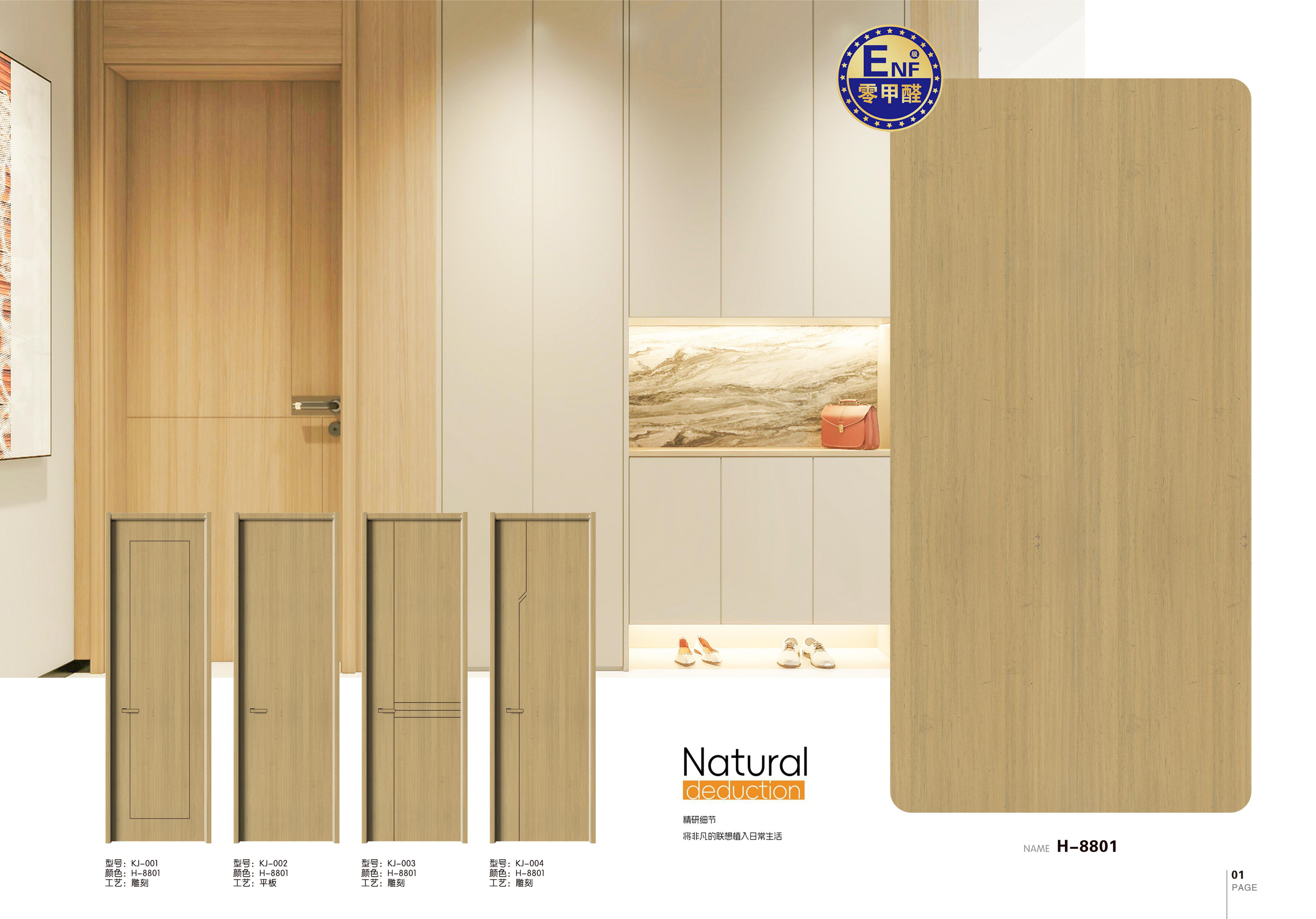 H-8801 Natural Deduction